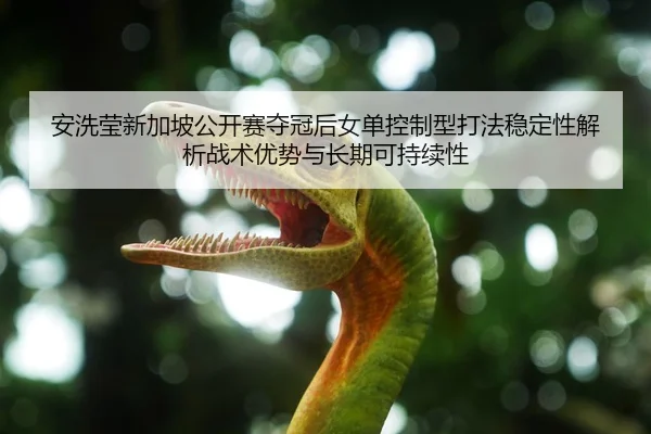 安洗莹新加坡公开赛夺冠后女单控制型打法稳定性解析战术优势与长期可持续性